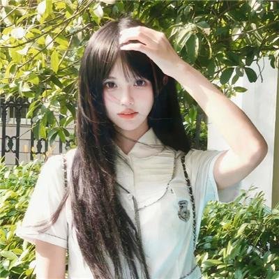 利普曼