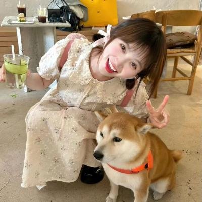 小迷糊闯七关